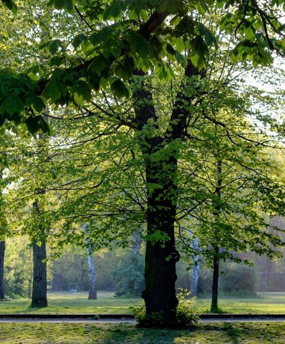 Jak splnit klimatický plán do roku 2030