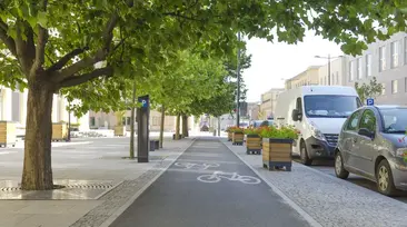 Stromy ve městech stojí za to chránit, i když překáží opravám