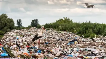 Místo neekologického skládkování využijme odpadky pro výrobu tepla
