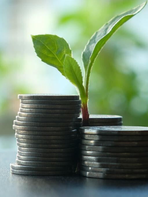 Kompletní služba bez dalších investic